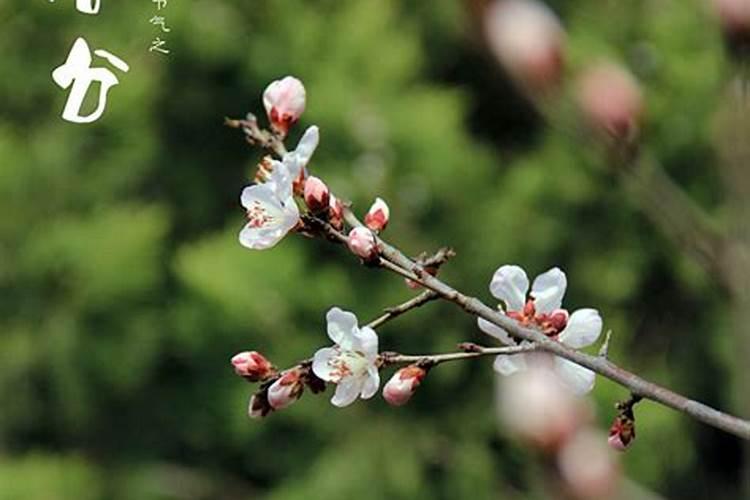 24节气的立春是什么意思