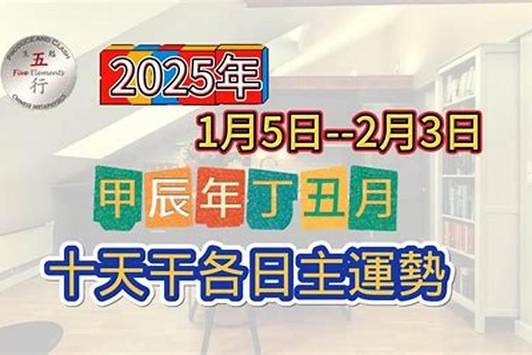 2025年6月7日出生的宝宝