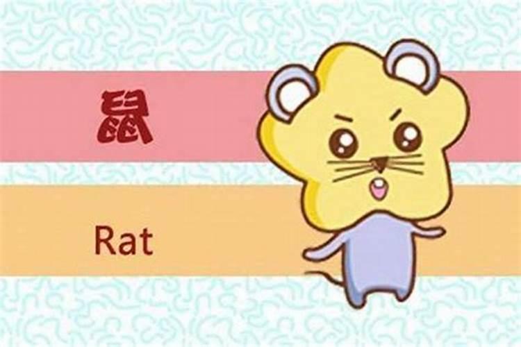 96年九月的鼠命运如何 9月属鼠人不一样时间出世的运势
