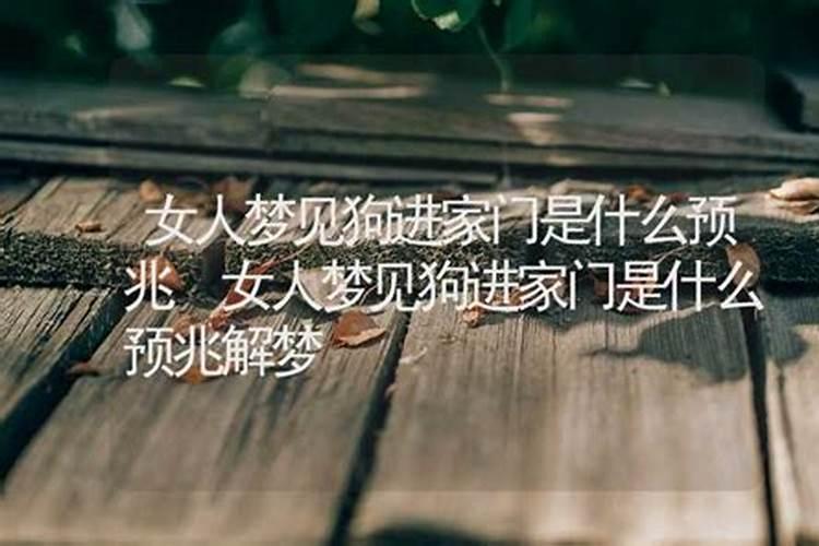 梦见陌生女人进我家门