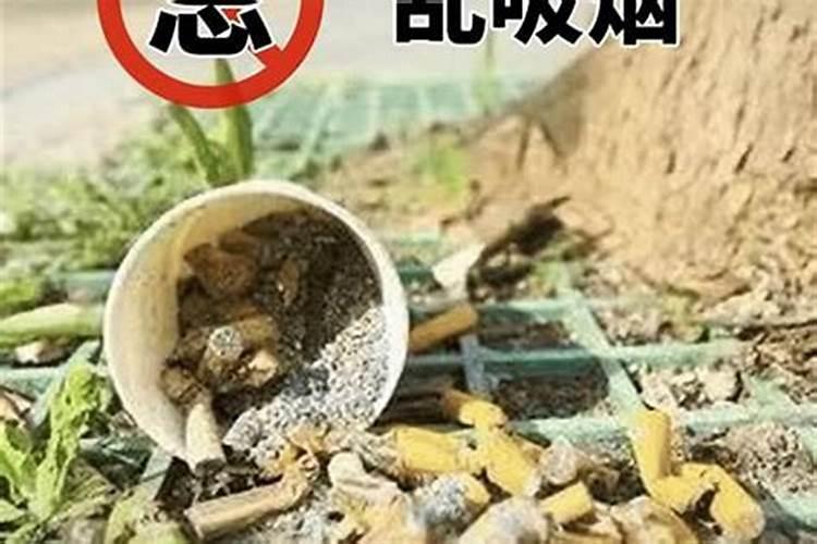 清明祭祀烧真钱处罚