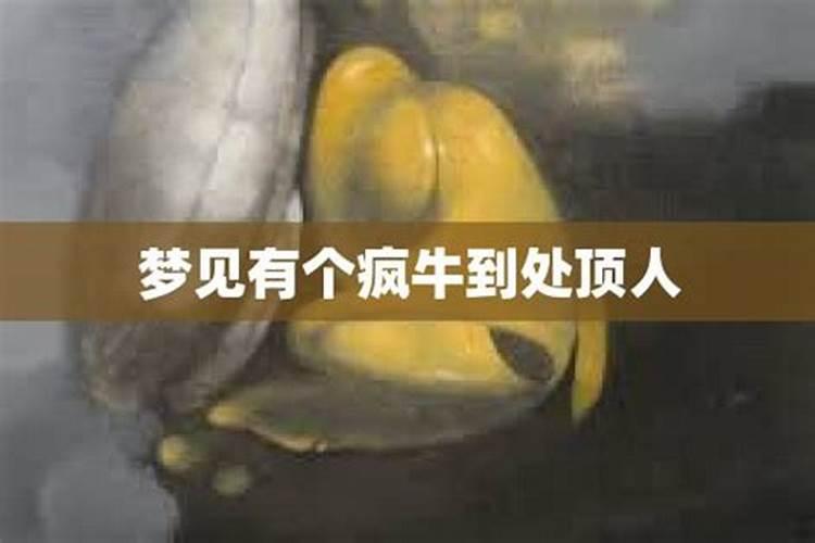 梦到祖坟是什么意思