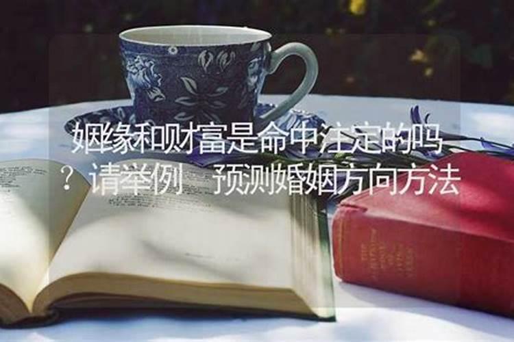 婚姻测试:婚姻树测试,看你拥有哪种婚姻