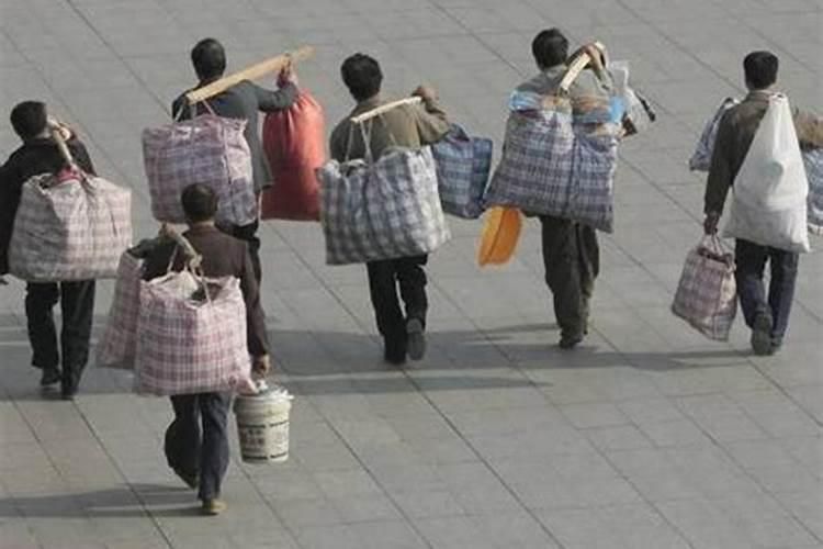 女人梦见用袋子装着蛇