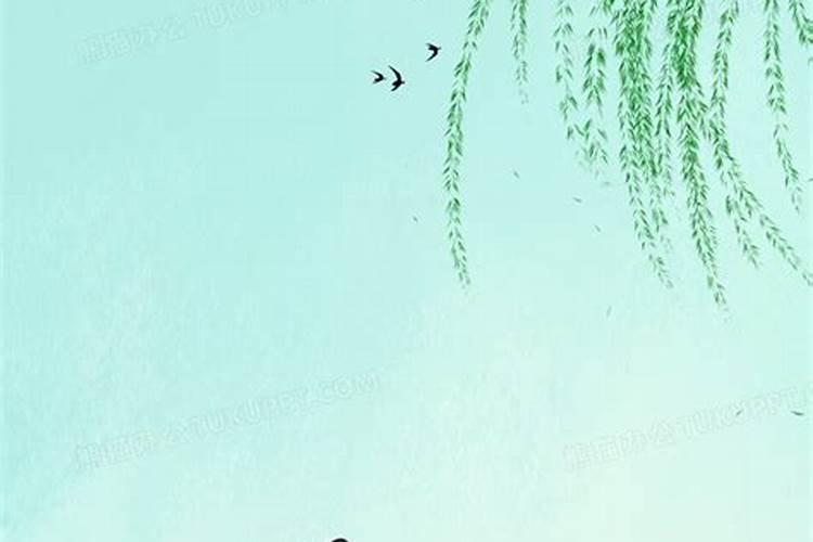 清明节扫墓活动背景