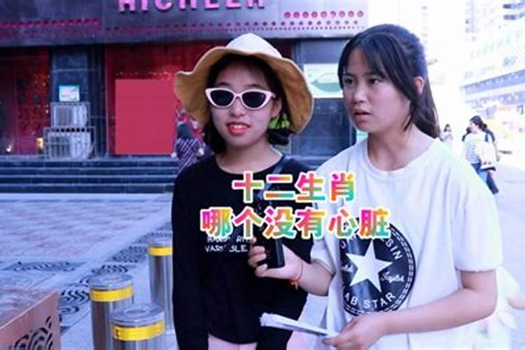 十二生肖包括哪些？？