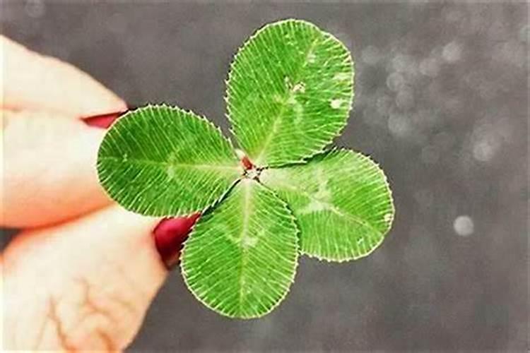 梦见打牌运气很好是什么意思？