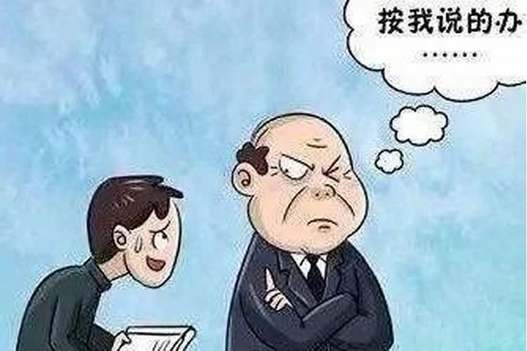 属猪的三大劫难在何时2023属猪要小心一个人
