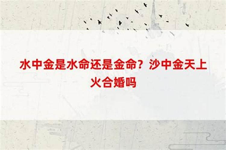 水命和金命是否相配？