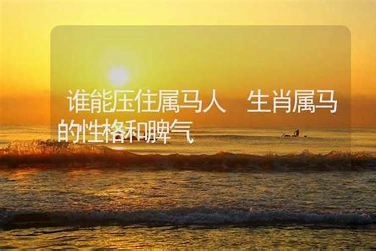 属马最怕三种人
