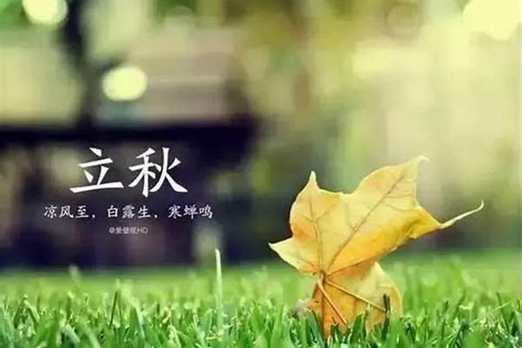 2005年的立秋是几月几号