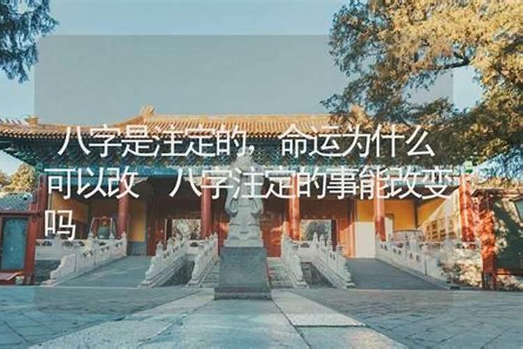 ...能根据人的生辰八字测算过去预知未来,是真的吗？有根据吗？还是封建迷 ...