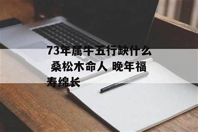 属蛇男宝宝几月几日几时出生最好命
