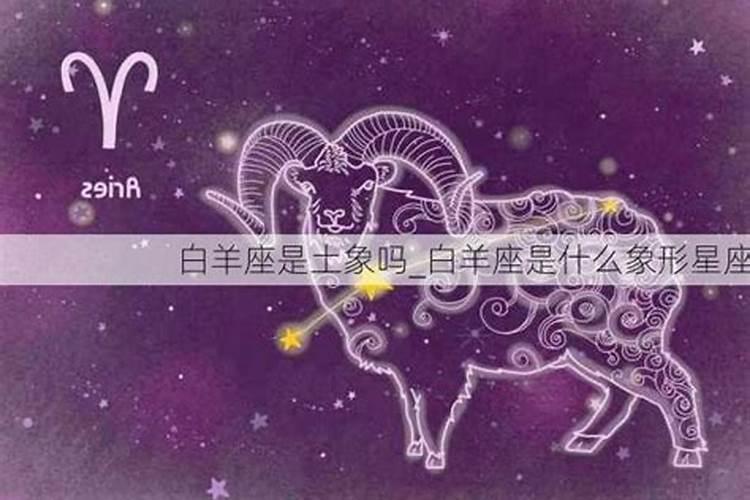 12个星座中,有哪几个是土象星座？