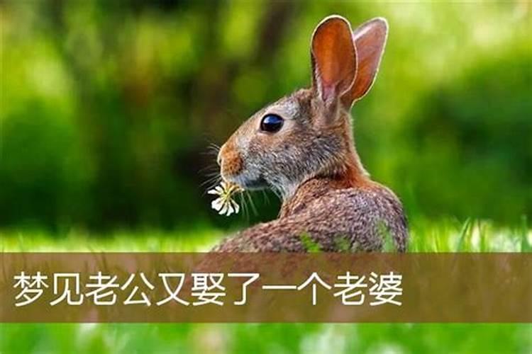 梦见我帮老公娶小老婆的预兆