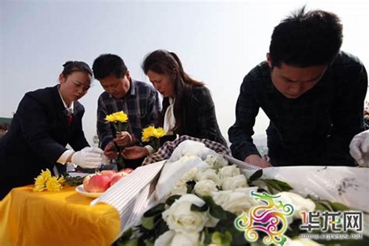 属鼠和属蛇相克吗鼠和蛇相克吗
