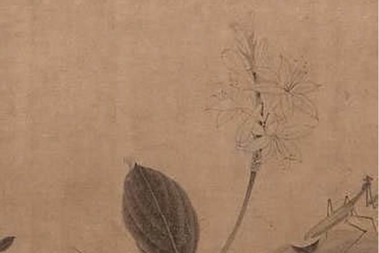 梦见熟悉的死人去买菜说这菜好我不要他要？