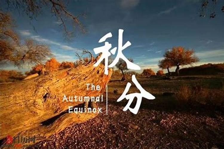 秋分的习俗