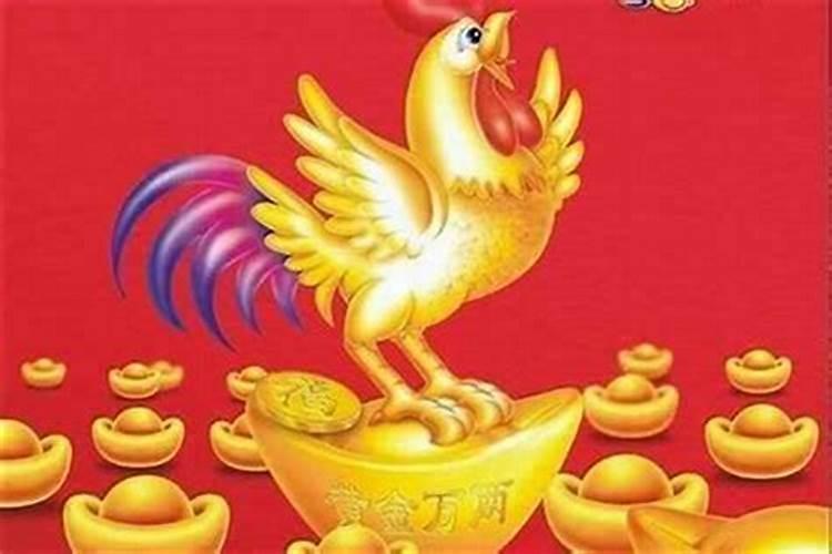 属猪人的本命年如何