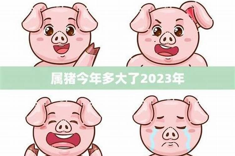 2025年犯太岁的五大生肖有哪些