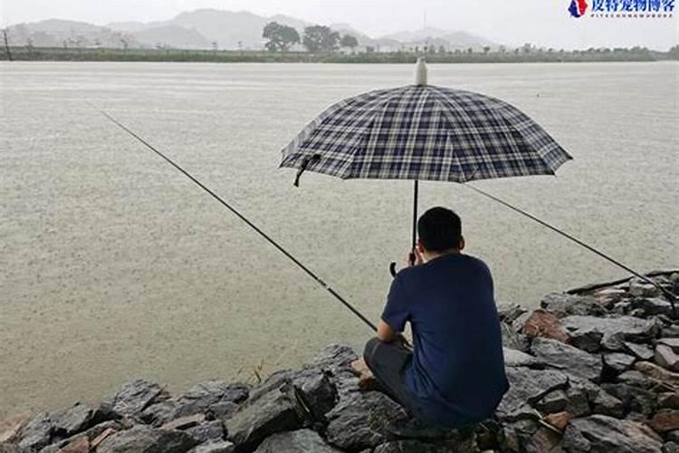 2023秋分下雨好还是晴天好 秋分下雨是什么意思