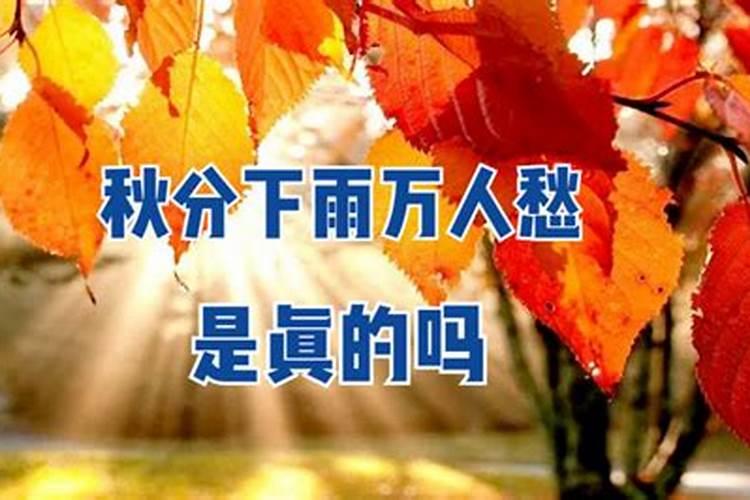 秋分这天下雨好还是不下雨好