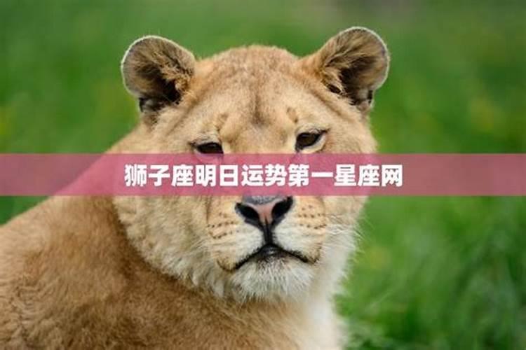 狮子座明日考试运势。。。急需、、、