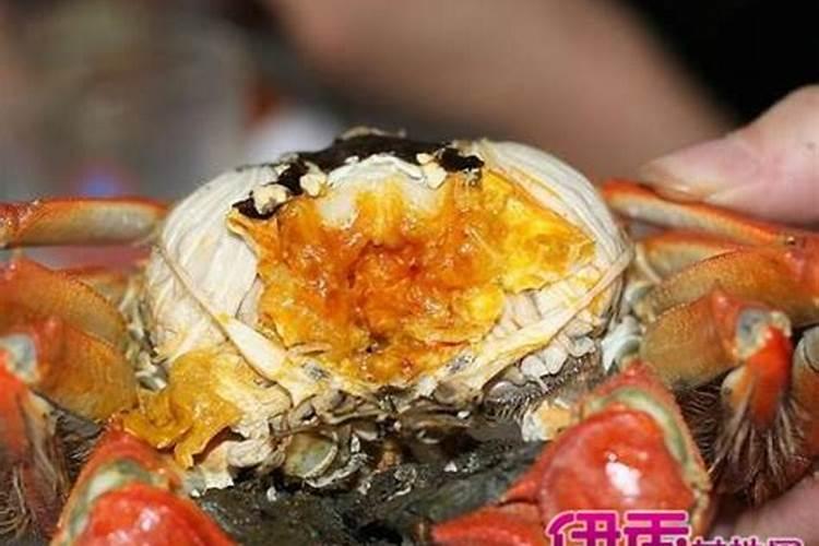 女人梦见吃螃蟹是吉兆发财