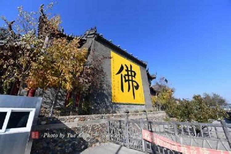 春季去禹城旅游,有什么好的建议与攻略？