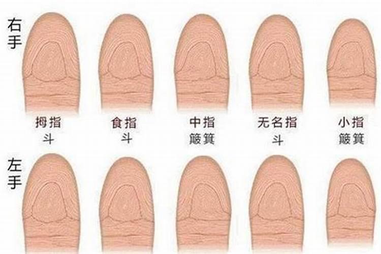 9个斗和1个簸箕的命运如何？