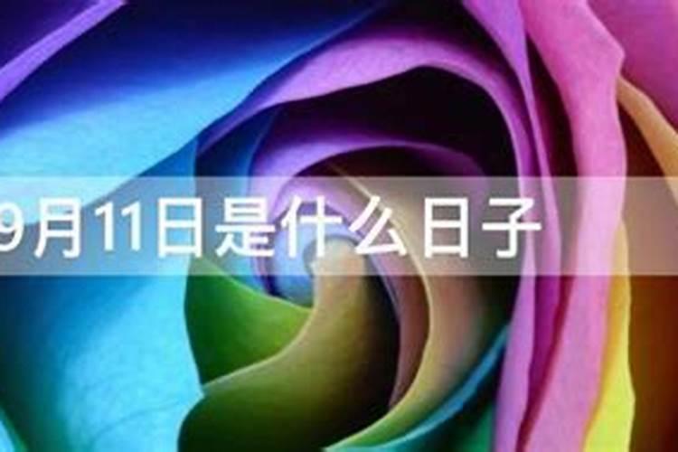 11月9日是什么日子