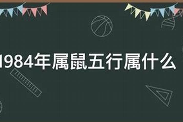 84年的鼠是什么命到底是金命还是木命