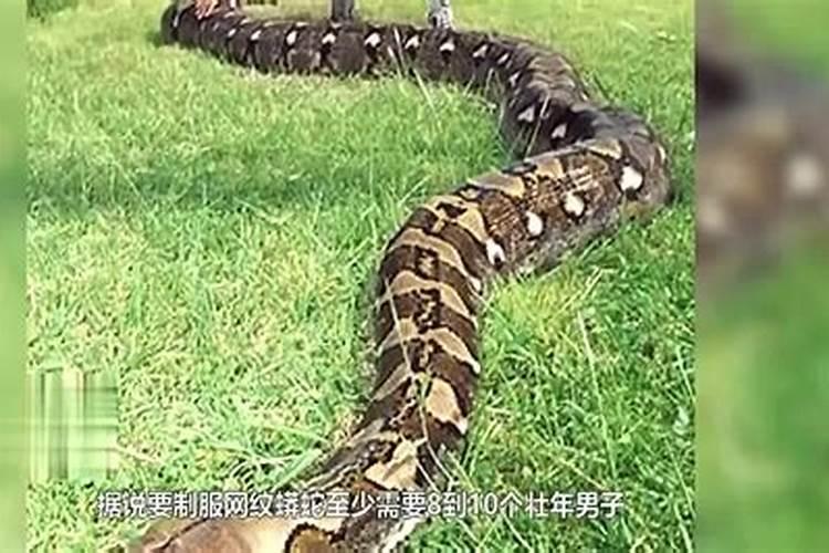仙家托梦的三个阶段