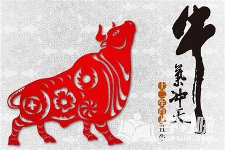 2011年属兔的是什么命