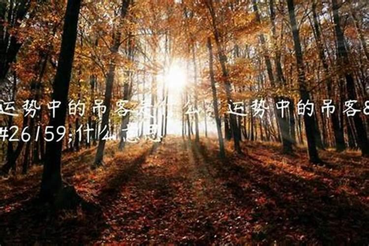 如何从八字看事业分析