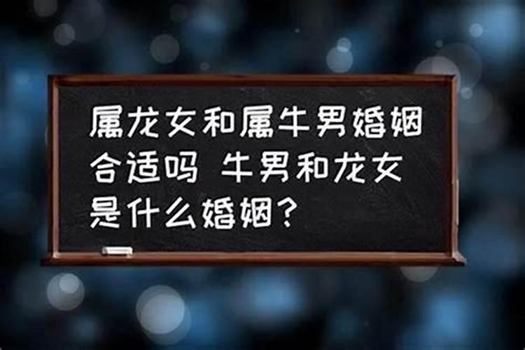 男属牛的婚配女属龙的吗,属牛男人和属龙女人合婚么？