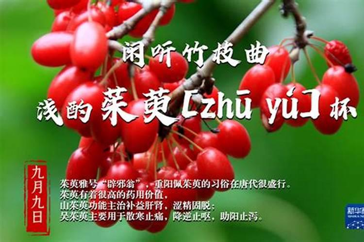 佩茱萸是什么意思