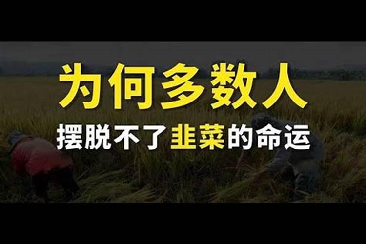 推算运势的结果会通过人的努力改变吗？