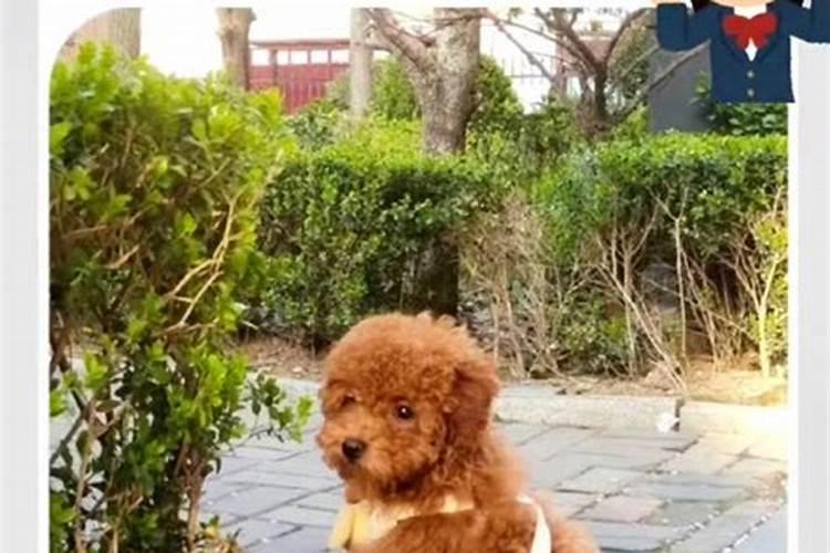 过小年是不是老一辈所说的年嘴开？