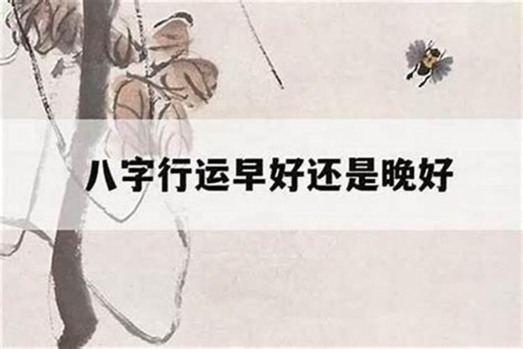 算命中,行运是什么意思