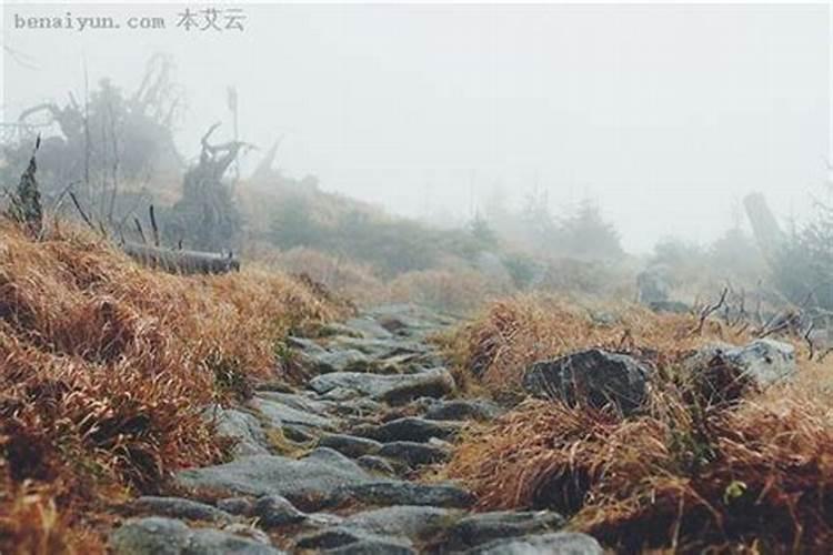 梦见和爸爸一起走山路