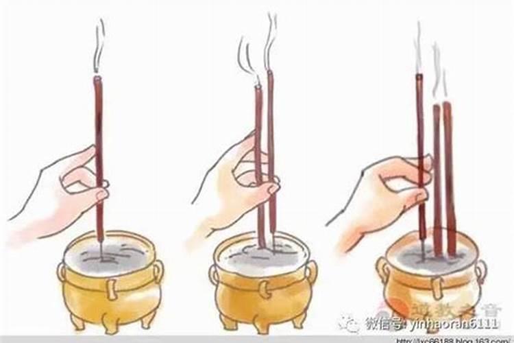 1975属兔2024年的运势及每月运程