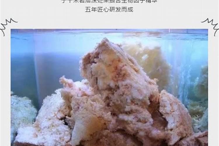 太岁时干什么用的有什么价值