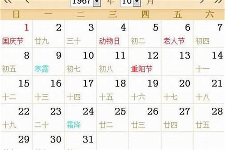 1967年农历12月19日出生的人今年运势