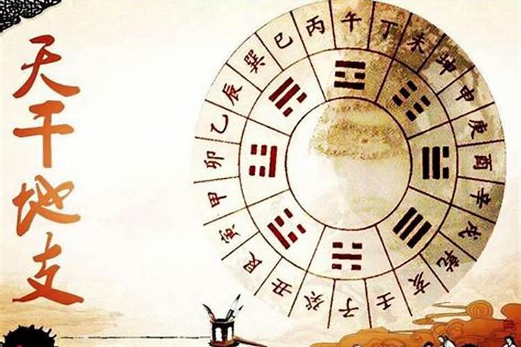 梦见同事死了好多的预兆