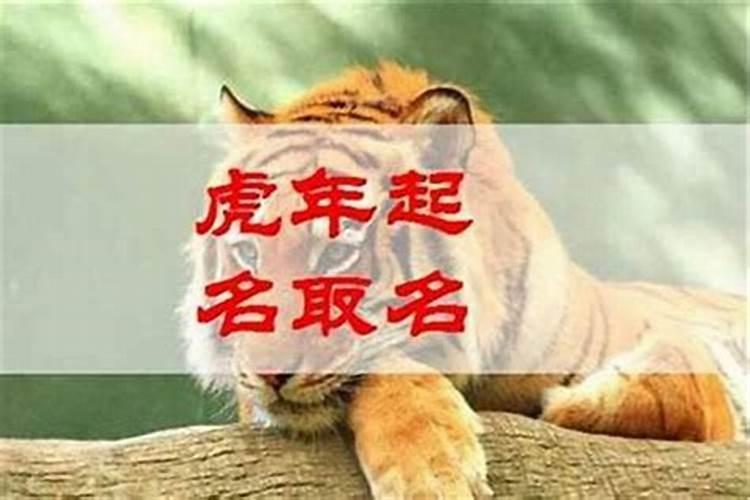 巳时出生的属虎人命运如何(9:0011:00)