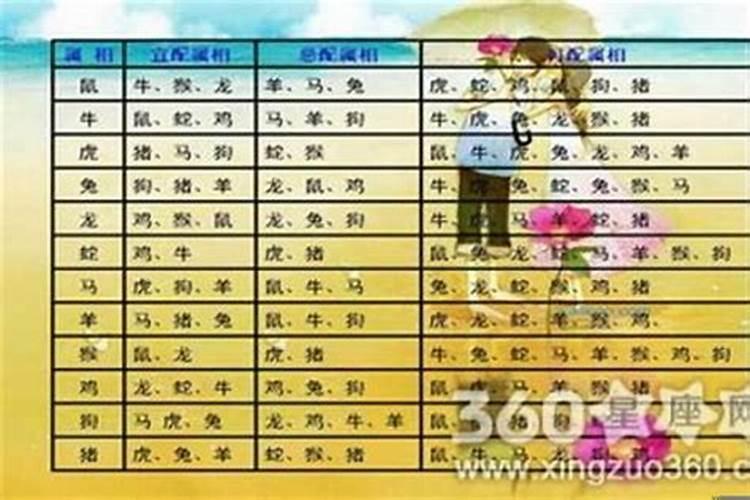 属狗的和什么属相最配