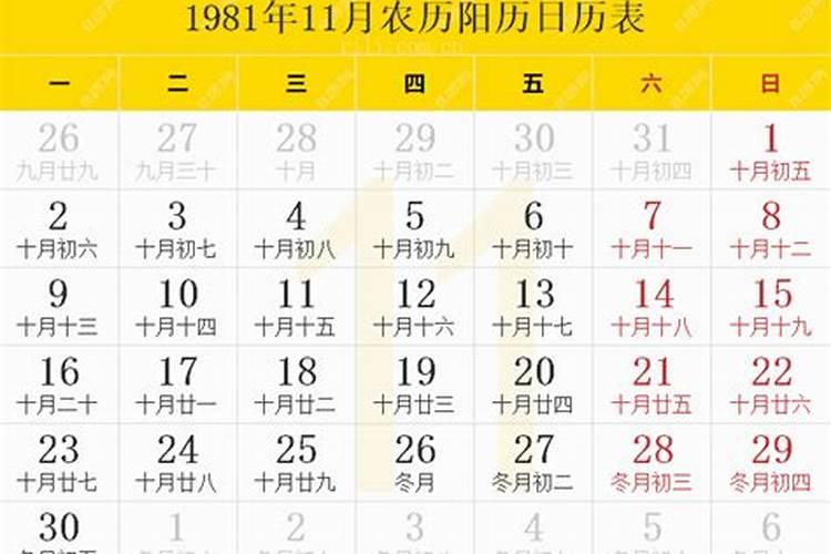 1981年属鸡农历九月初四辰时岀生的命运线
