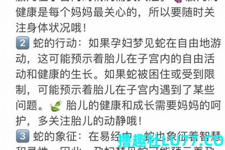 梦见一条大蛇被砍死