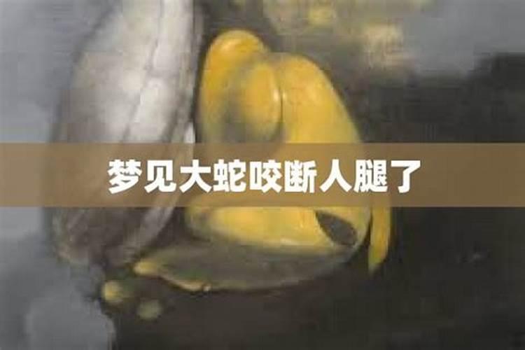梦见大蛇被杀死了的预兆
